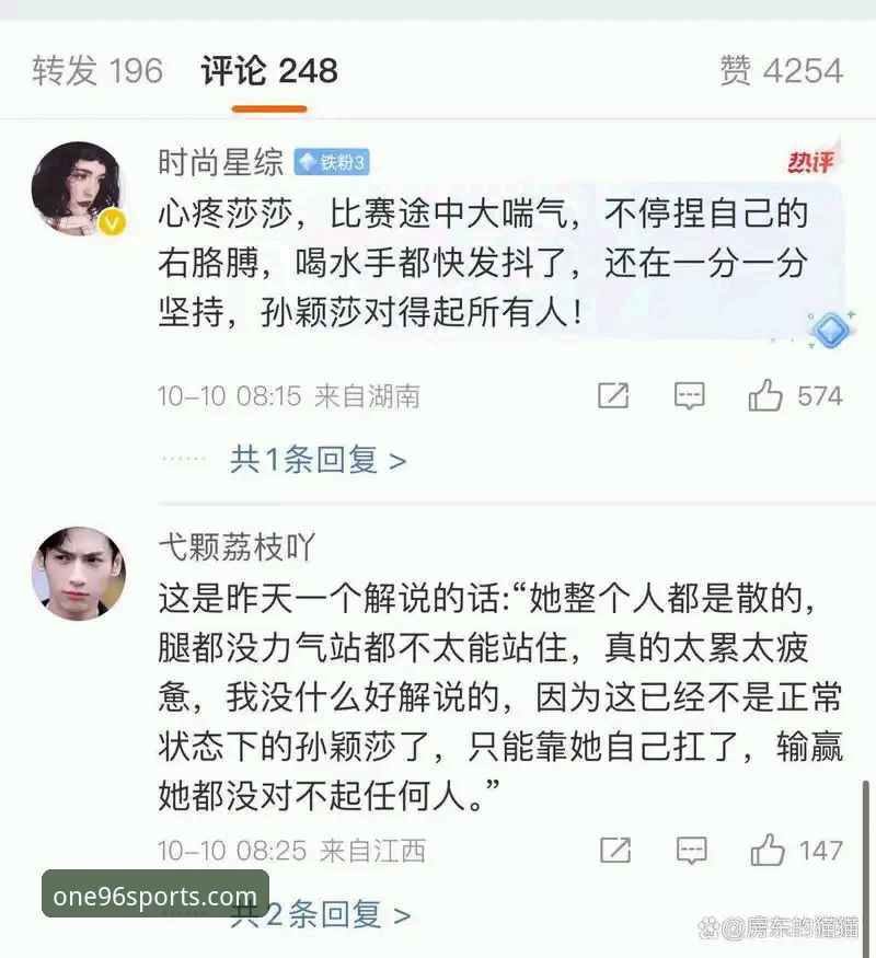 揭秘196体育APP手机版：你不知道的便捷体验与高效玩法